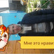 evgenii, 44