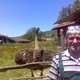gulabov, 65