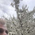 �����, 44