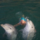 Alenka, 55