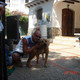 BRUNO, 56