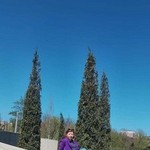 �������, 38