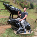 ������, 38