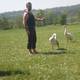 Memoli, 52