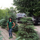 Anna, 36