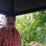 nikas, 63