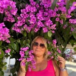 ������, 51