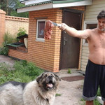Massa Doctor, 56