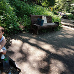 �������, 38