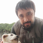 Fatih, 40