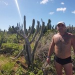 �������, 43